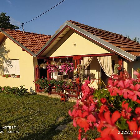 Kuca Za Odmor Zdravac Villa Kragujevac Exterior foto