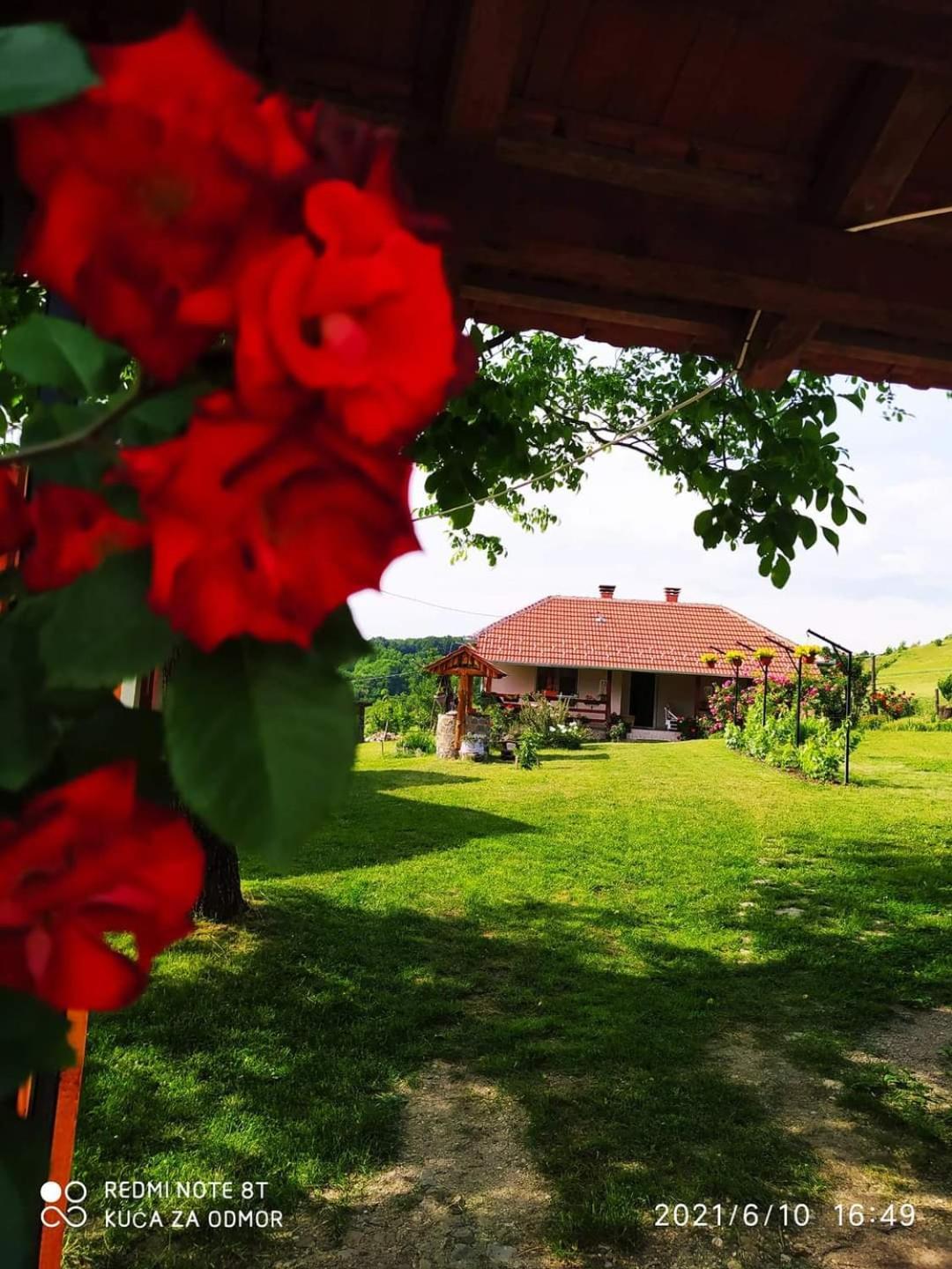 Kuca Za Odmor Zdravac Villa Kragujevac Exterior foto