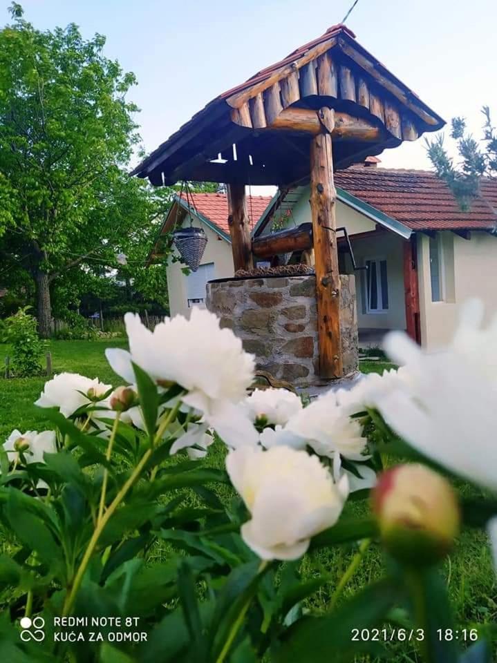 Kuca Za Odmor Zdravac Villa Kragujevac Exterior foto